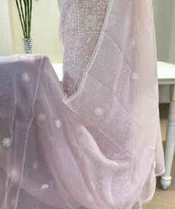 Blush Pink Organza Chikankari Set with Dupatta