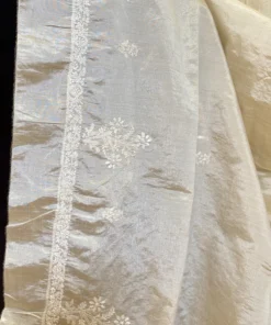 Alternative view of Champagne Tissue Chikankari 2pc Set
