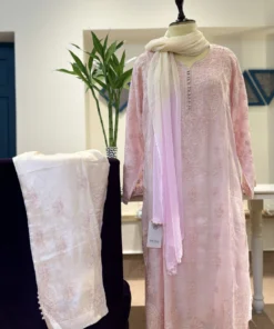 Blush Noor Chikankari Silk Set