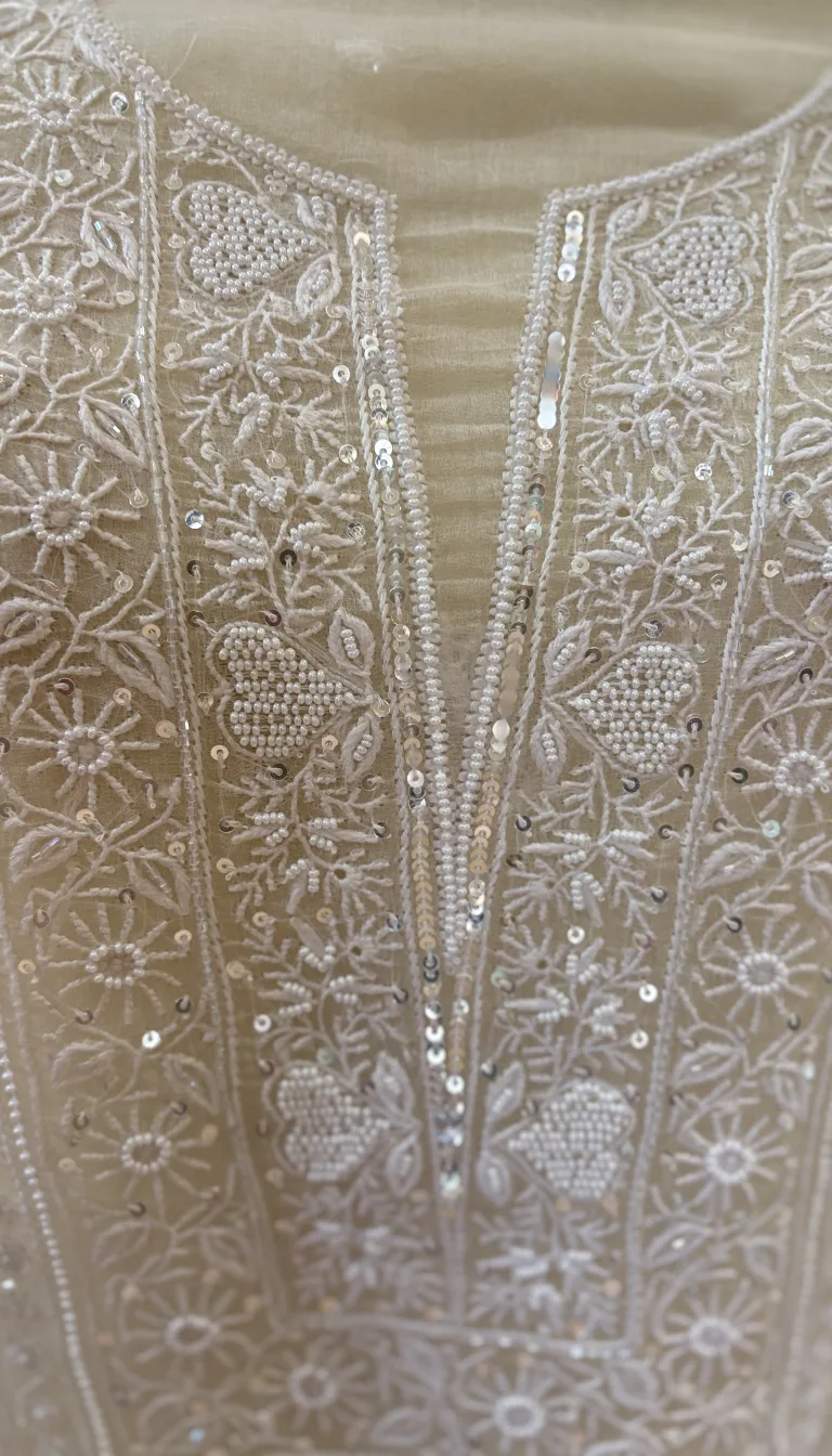 Ivory Noor Organza Set - Image 3