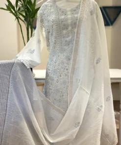 Powder Blue Jaal Chikankari Mul Chanderi Set
