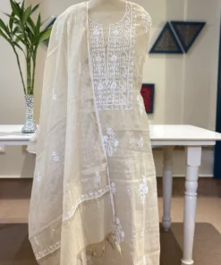 Champagne Pearl Chikankari Tissue 2pc Set