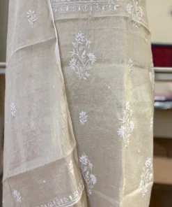 Alternative view of Tissue Chikankari Suit with Pearl Work